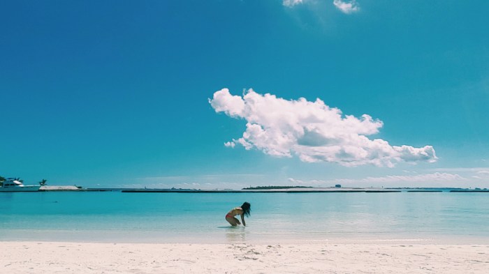 2015-12-18 05.03.06 1.jpg image