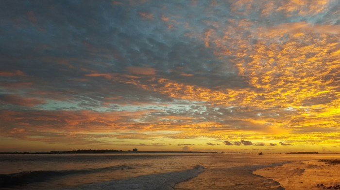 2015-12-19 10.40.15 1.jpg image