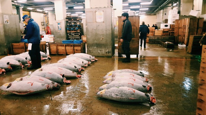 Processed with VSCO with c1 preset