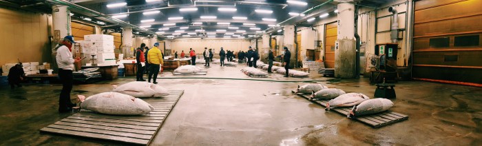 Processed with VSCO with c1 preset