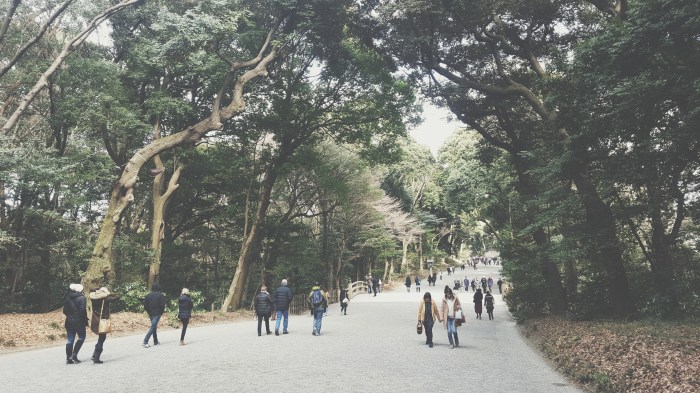 Processed with VSCO with t1 preset