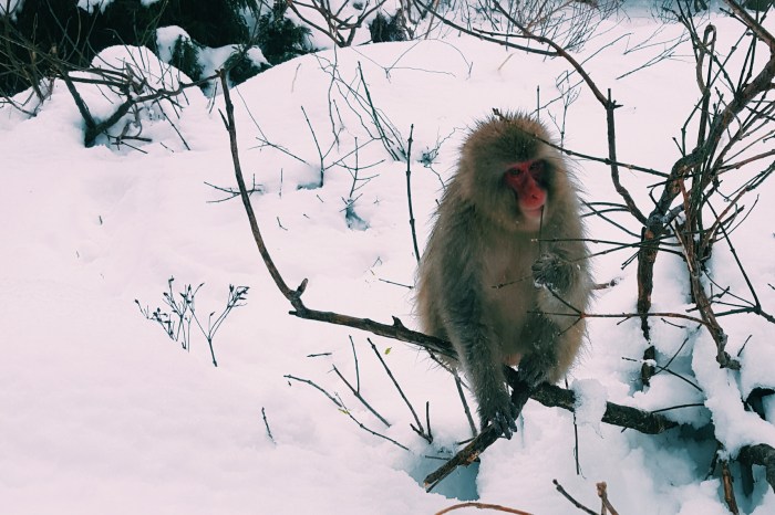 Processed with VSCO with c1 preset