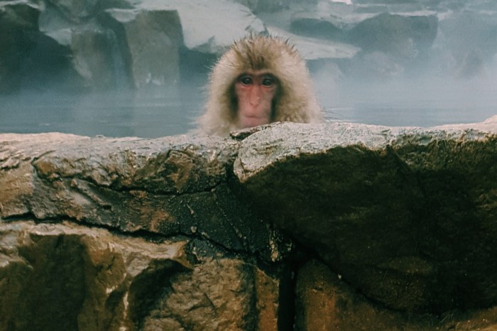 Processed with VSCO with c1 preset