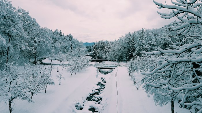 Processed with VSCO with c1 preset