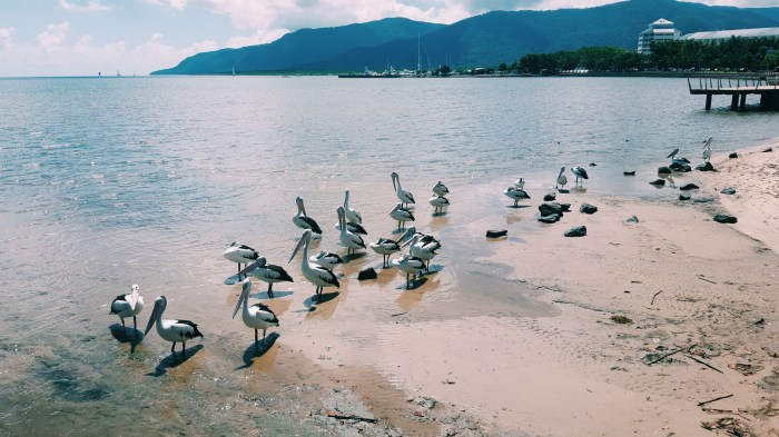 Processed with VSCO with c1 preset