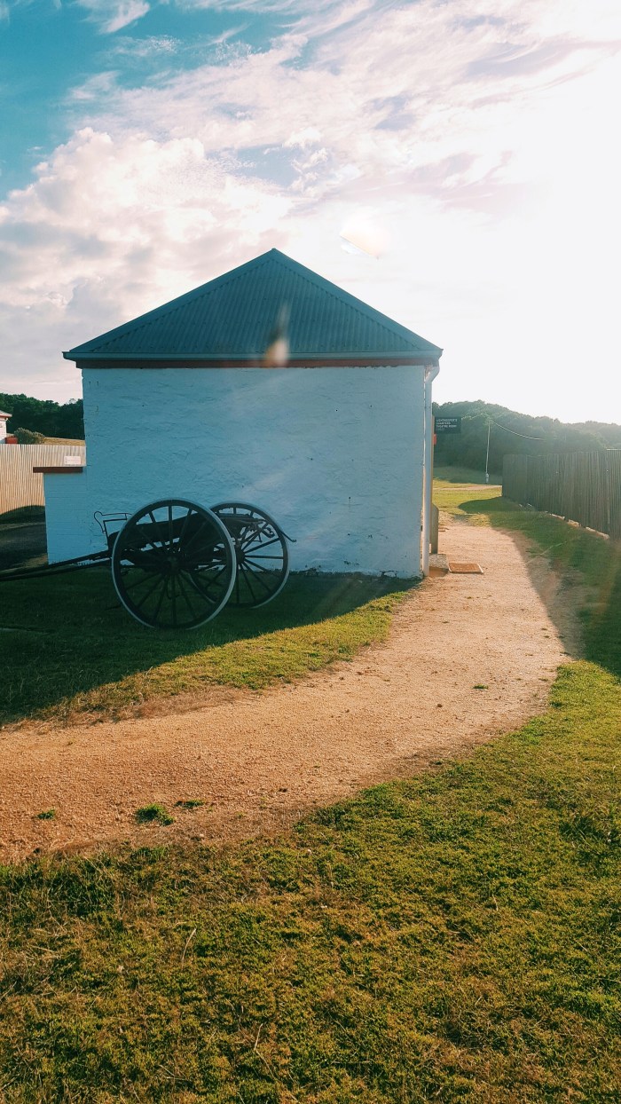 Processed with VSCO with c1 preset